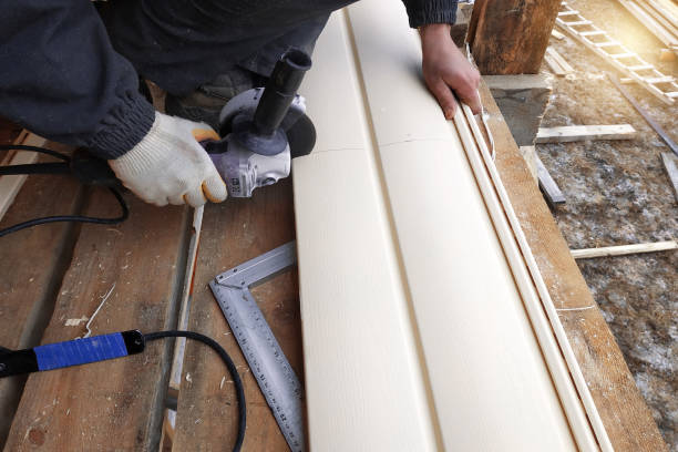Affordable Siding Repair and Maintenance Services in Le Mars, IA