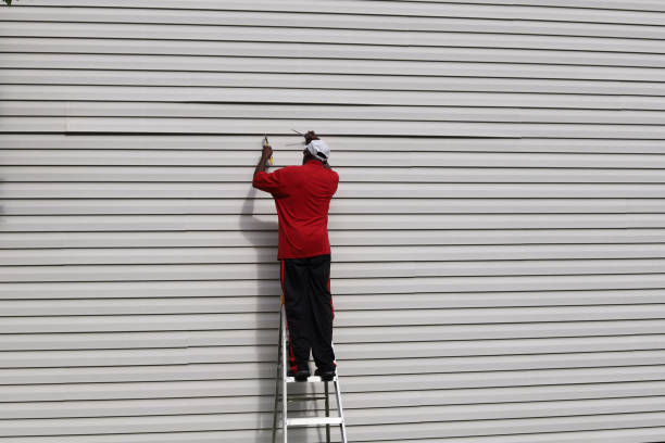 Best Vinyl Siding Installation  in Le Mars, IA