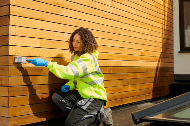 Best Aluminum Siding Installation  in Le Mars, IA