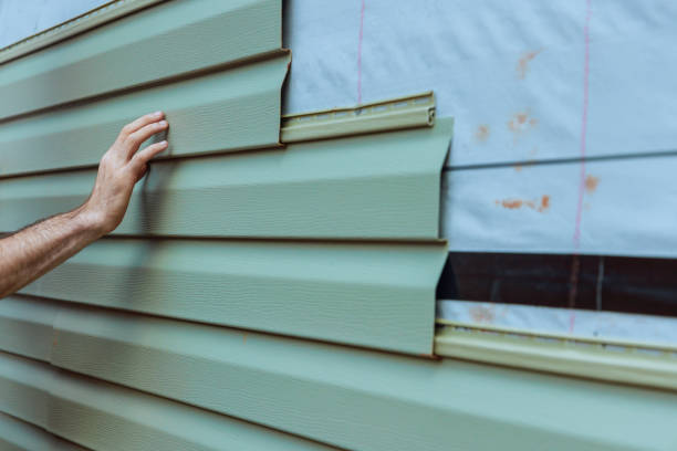 Best Custom Siding Design  in Le Mars, IA